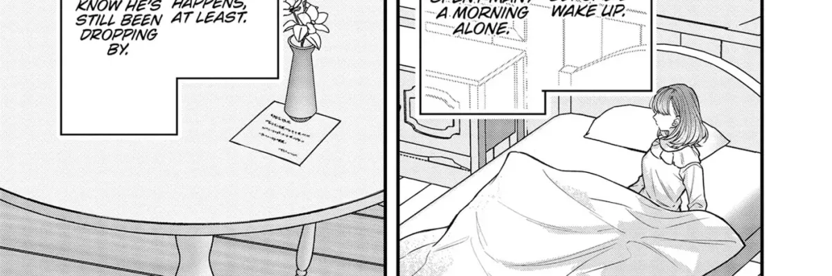 Healer for the Shadow Hero Chapter 17 page 2 - 