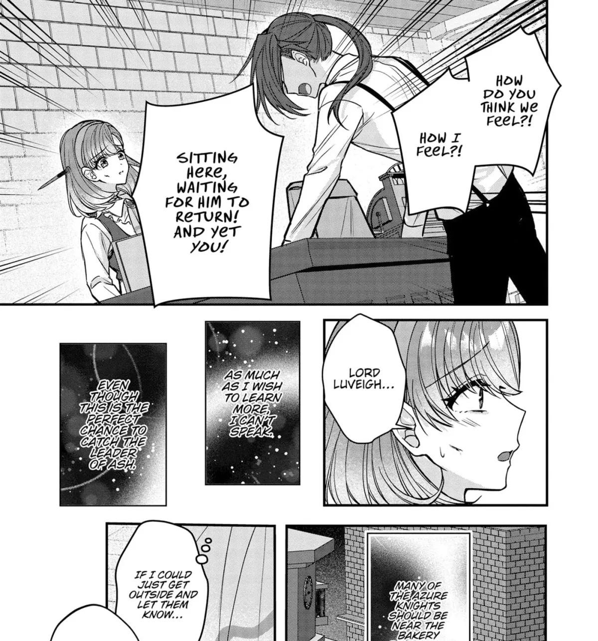 Healer for the Shadow Hero Chapter 17 page 25 - 