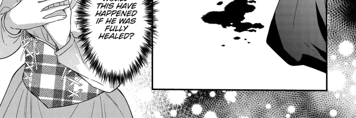 Healer for the Shadow Hero Chapter 9 page 18 - 