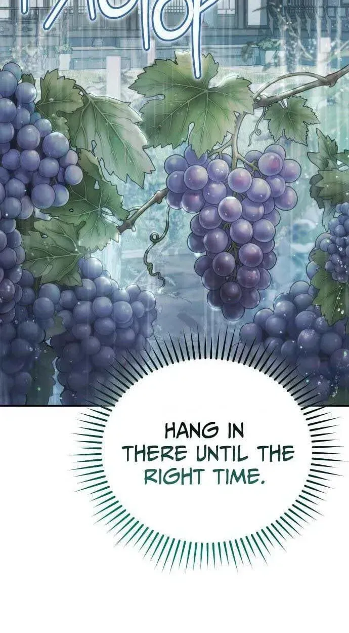 Healing with D’Bly Chapter 13 page 102 - 