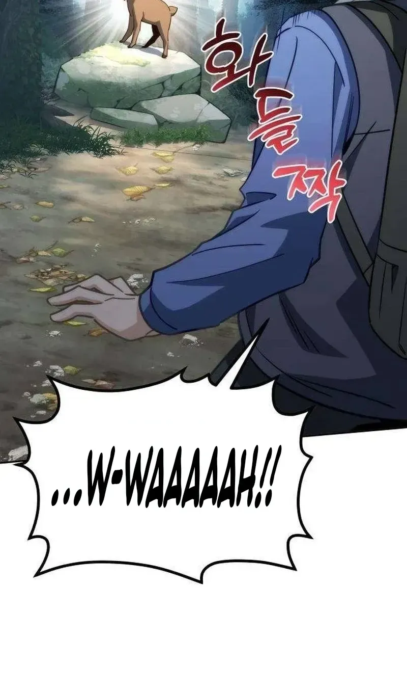 Healing With Deulbi Chapter 11 page 74 - 