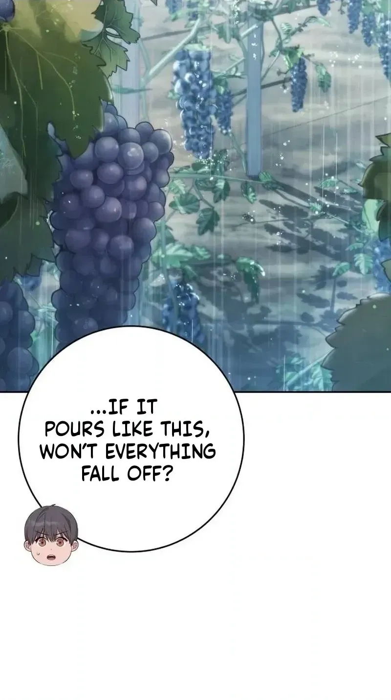 Healing With Deulbi Chapter 13 page 100 - 