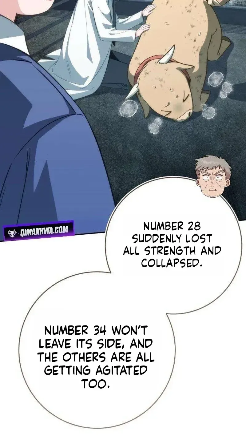 Healing With Deulbi Chapter 14 page 11 - 