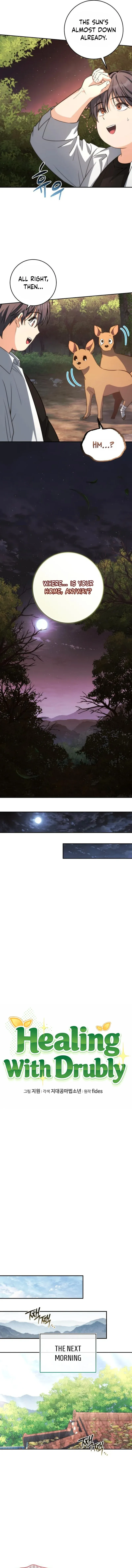 Healing With Deulbi Chapter 4 page 6 - 