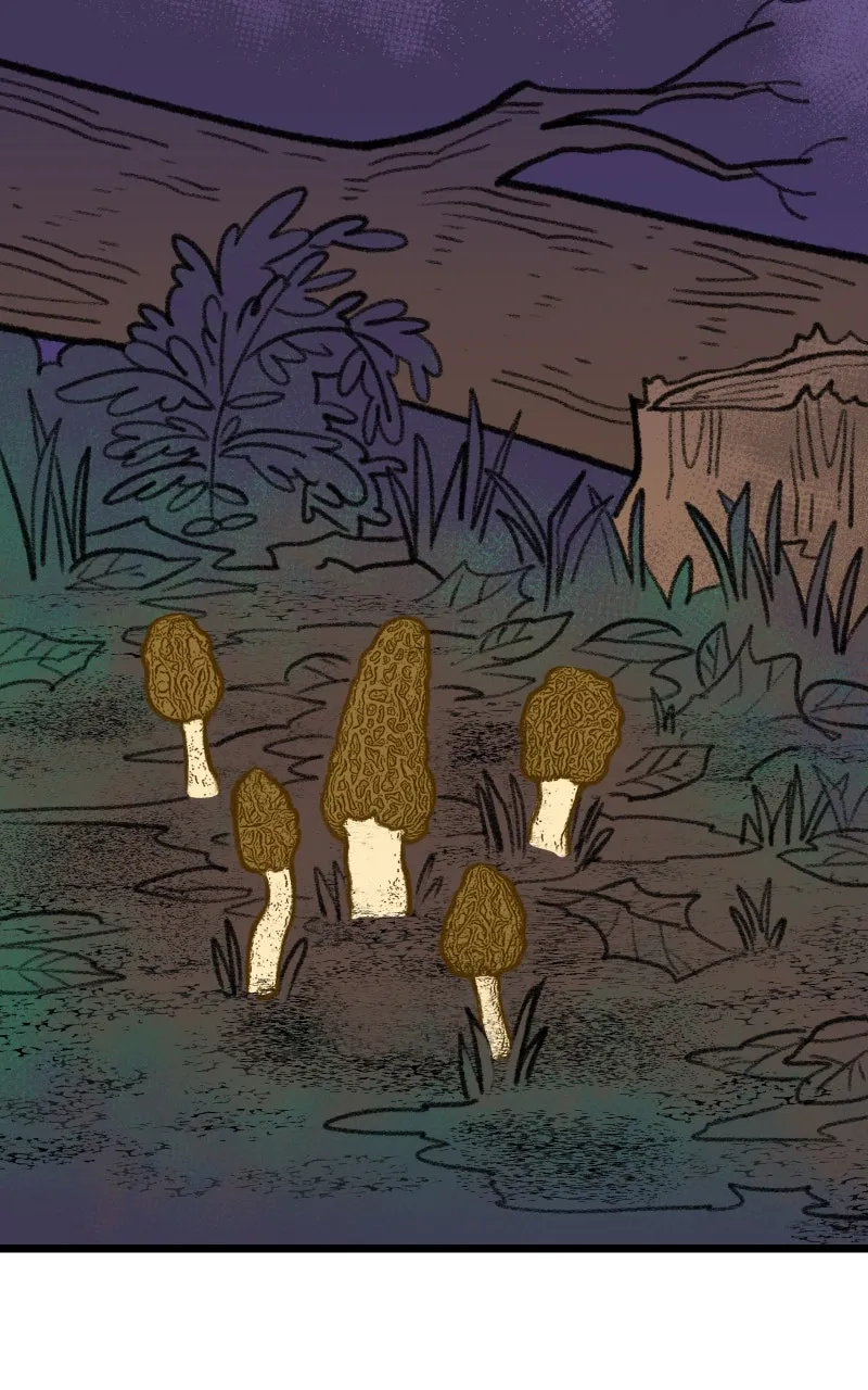 Heart Acres Chapter 49 page 2 - 