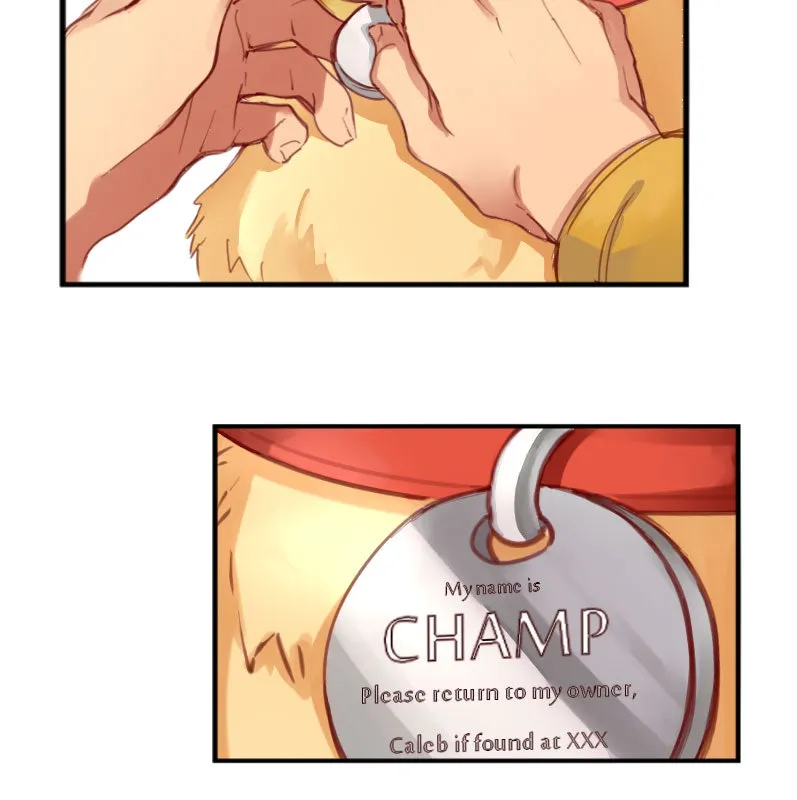 HEART Anthology Chapter 87 page 34 - 