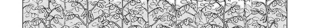 Heavenly Delusion Chapter 32 page 22 - 