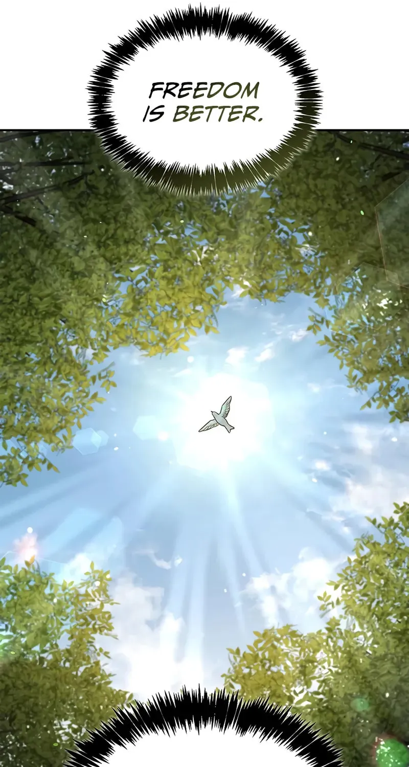 Heavenly Grand Archive