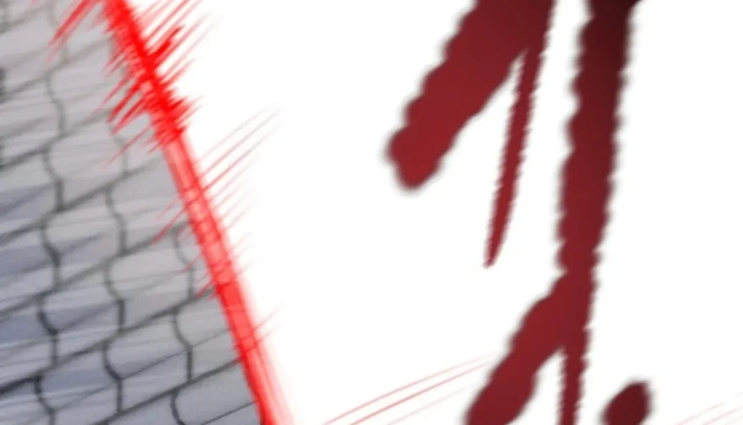 Heavenly Moon Chapter 168 page 242 - 