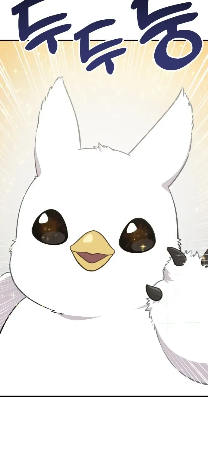 Hello, Fluffy Griffin! Chapter 1 page 15 - 