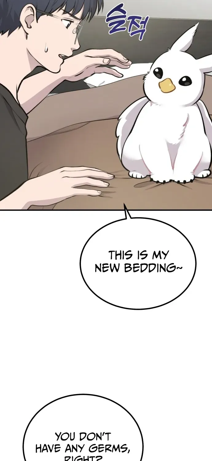 Hello, Fluffy Griffin! Chapter 1 page 32 - 