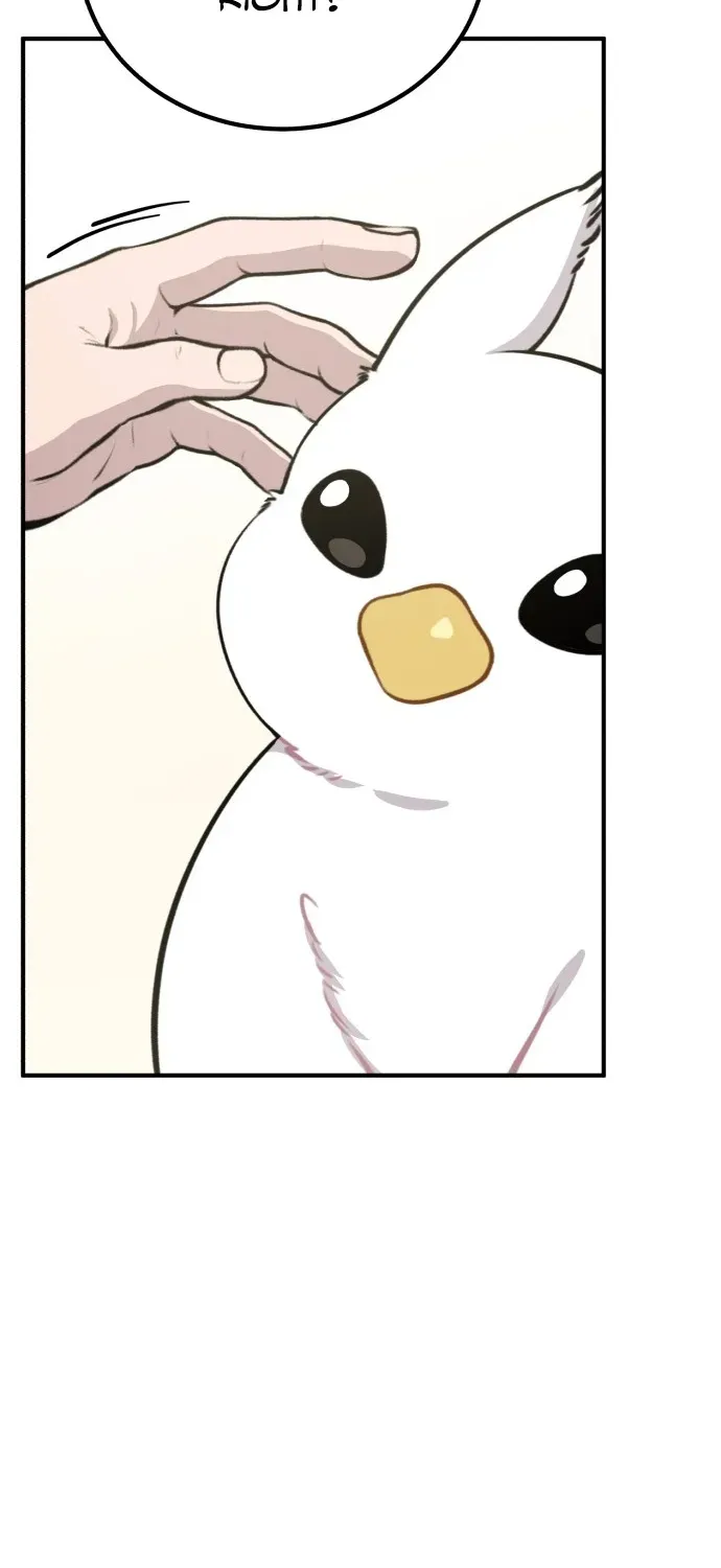 Hello, Fluffy Griffin! Chapter 1 page 33 - 