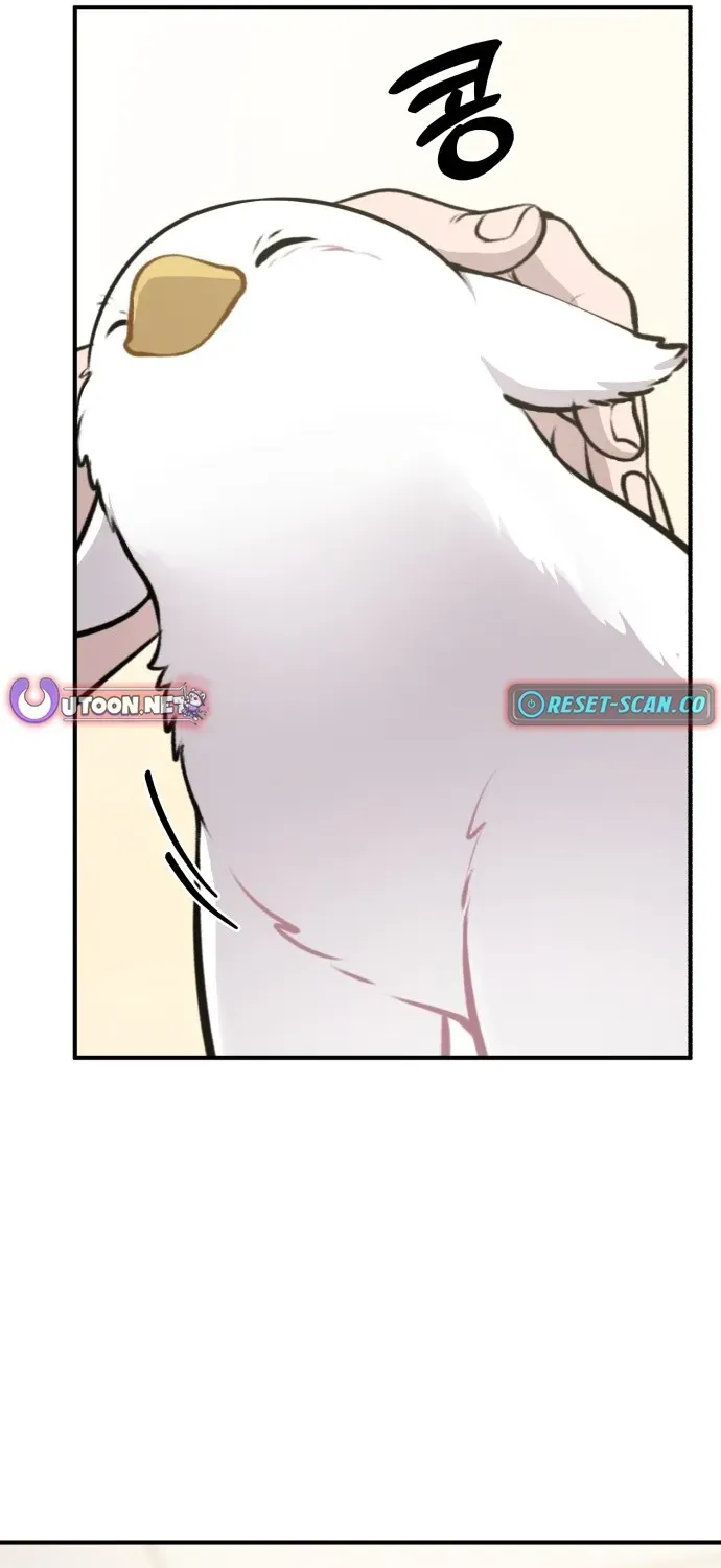 Hello, Fluffy Griffin! Chapter 1 page 34 - 