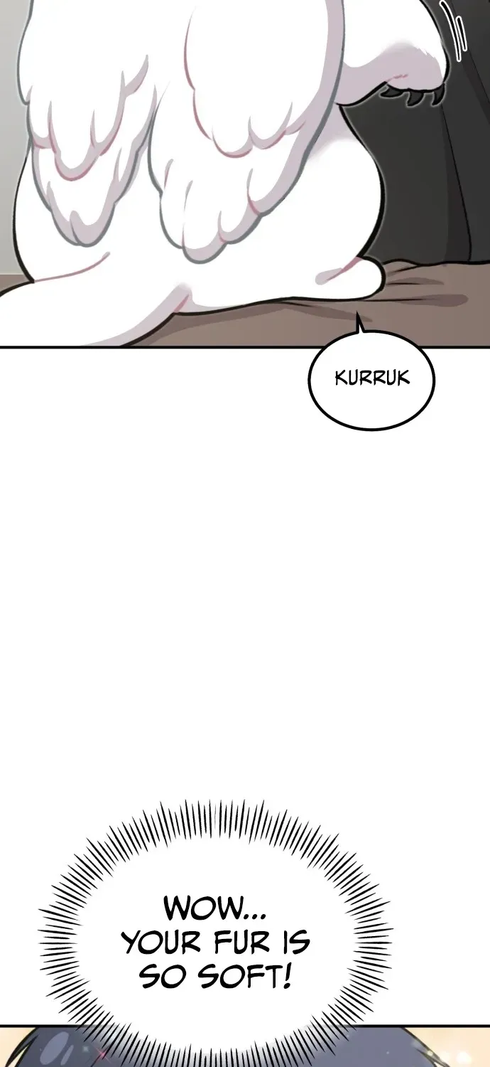 Hello, Fluffy Griffin! Chapter 1 page 36 - 