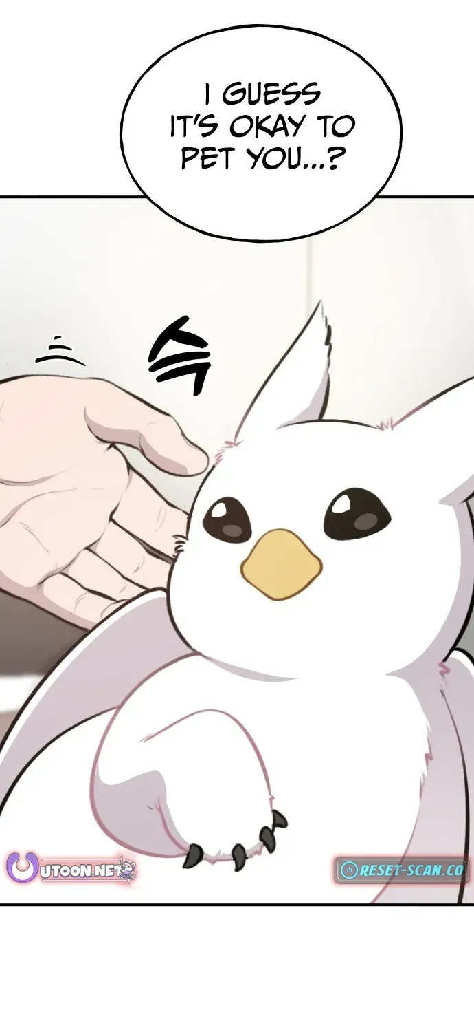 Hello, Fluffy Griffin! Chapter 1 page 38 - 