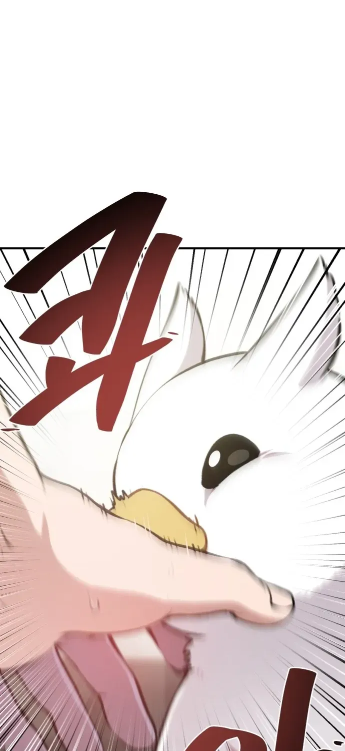 Hello, Fluffy Griffin! Chapter 1 page 39 - 