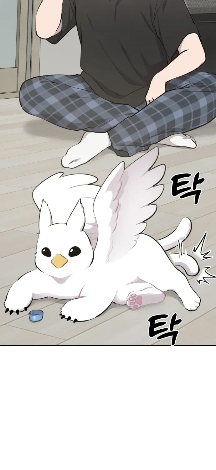 Hello, Fluffy Griffin! Chapter 1 page 69 - 