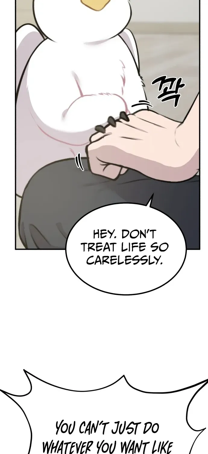 Hello, Fluffy Griffin! Chapter 1 page 73 - 