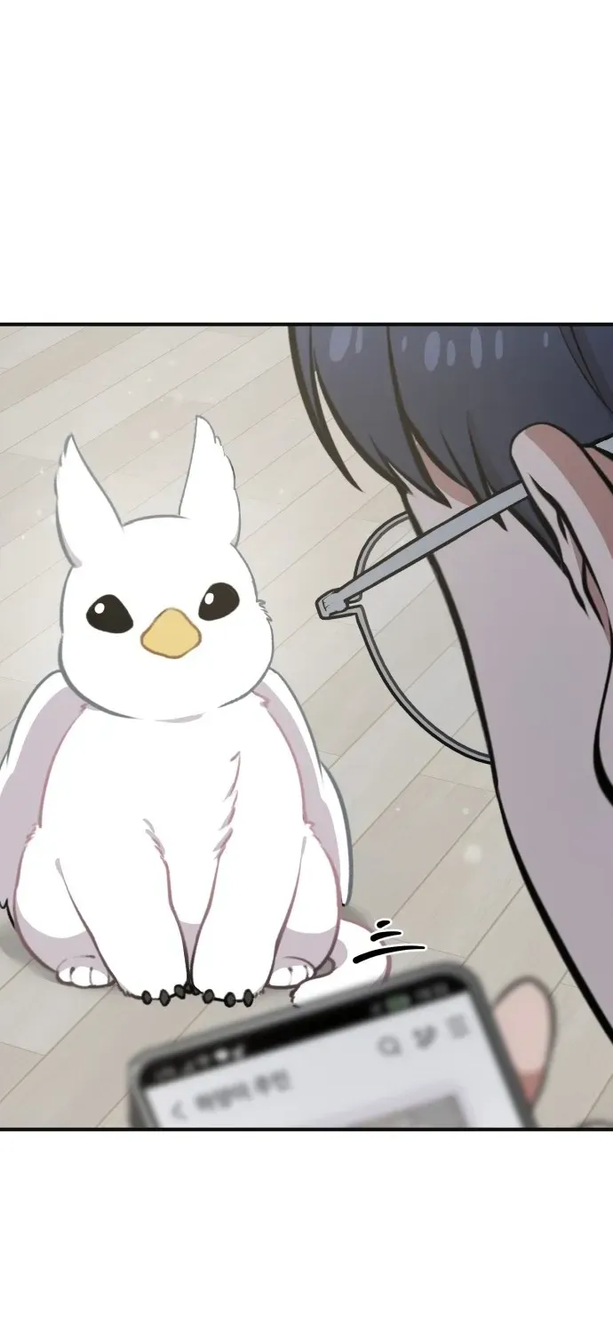 Hello, Fluffy Griffin! Chapter 1 page 83 - 