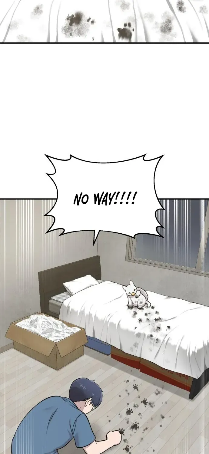 Hello, Fluffy Griffin! Chapter 10 page 67 - 