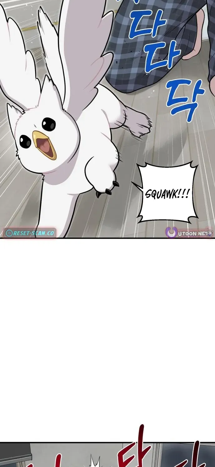 Hello, Fluffy Griffin! Chapter 11 page 37 - 