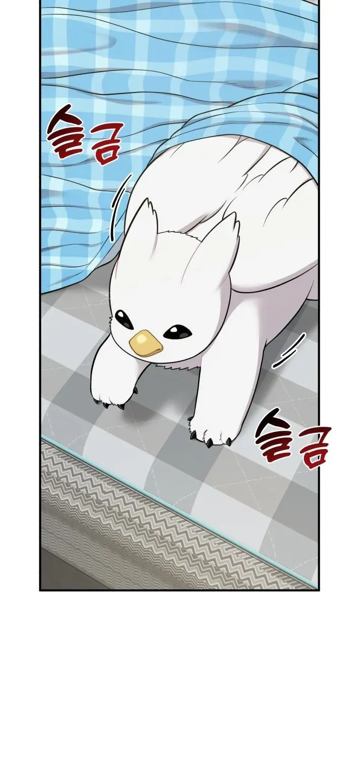 Hello, Fluffy Griffin! Chapter 11 page 50 - 