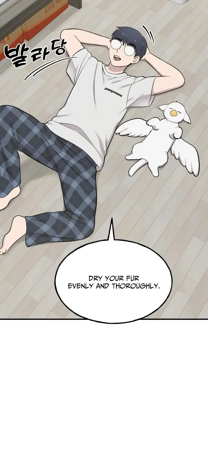 Hello, Fluffy Griffin! Chapter 11 page 65 - 