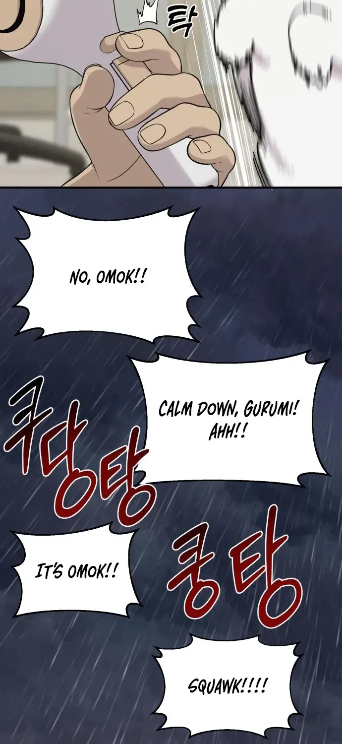 Hello, Fluffy Griffin! Chapter 11 page 73 - 