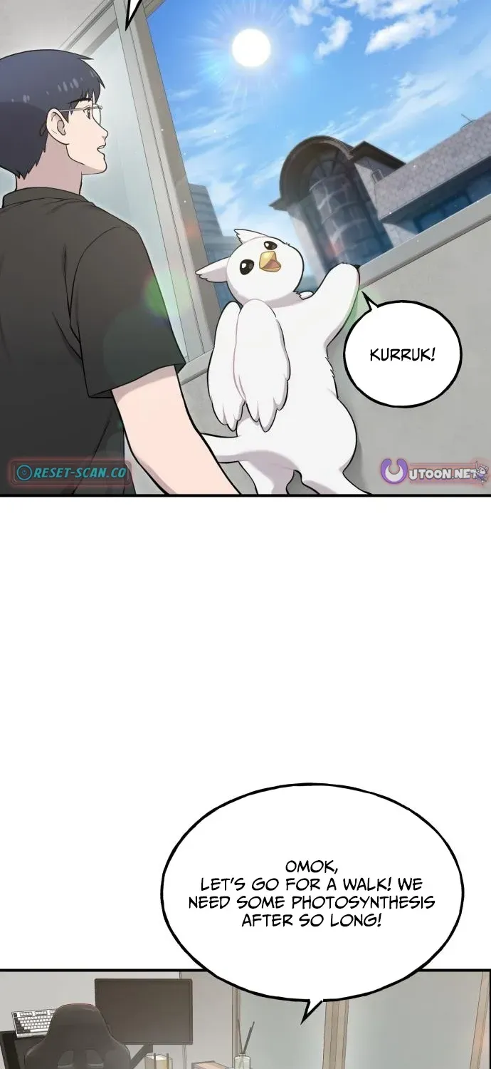 Hello, Fluffy Griffin! Chapter 12 page 3 - 