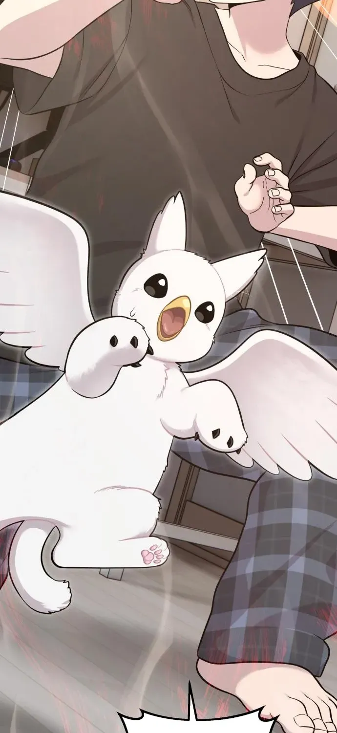 Hello, Fluffy Griffin! Chapter 12 page 24 - 