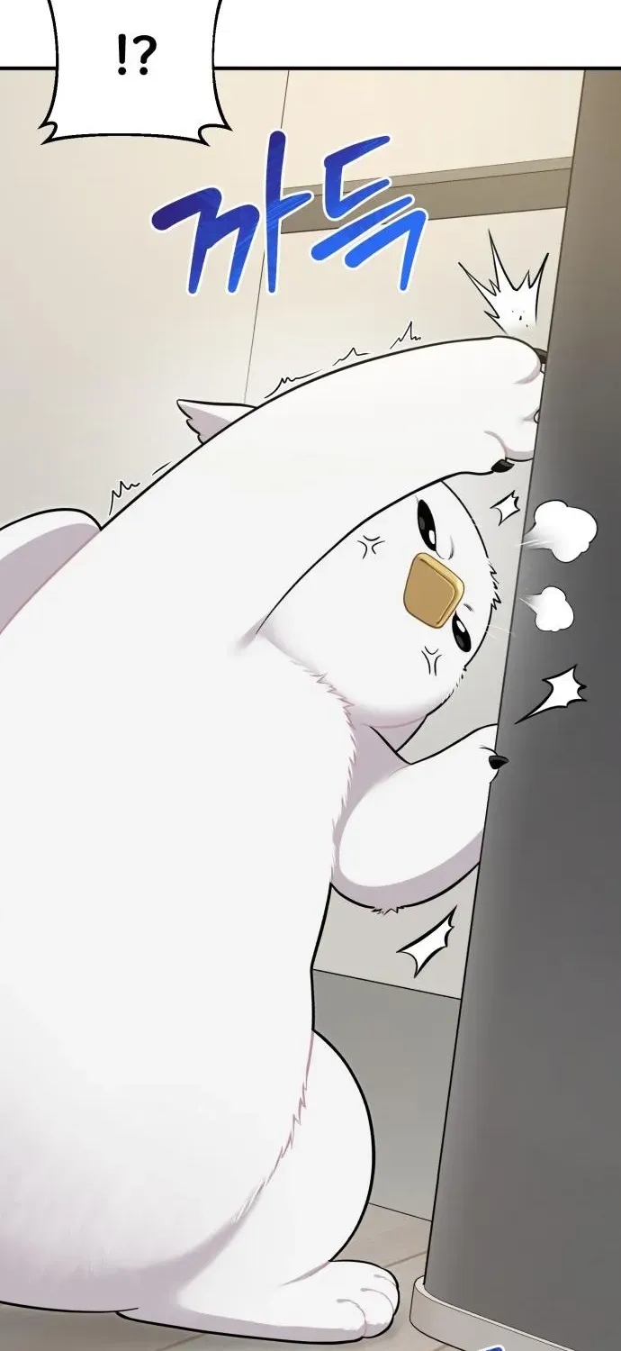 Hello, Fluffy Griffin! Chapter 12 page 41 - 