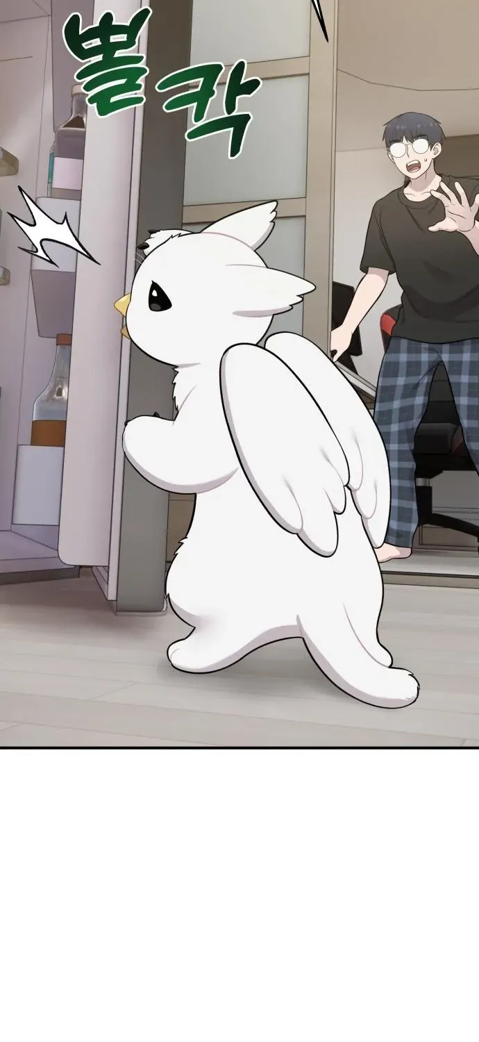 Hello, Fluffy Griffin! Chapter 12 page 43 - 