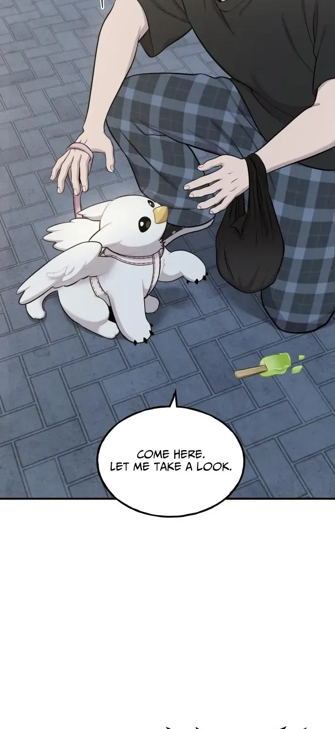 Hello, Fluffy Griffin! Chapter 12 page 53 - 