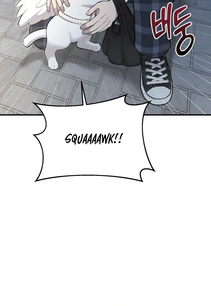Hello, Fluffy Griffin! Chapter 12 page 56 - 
