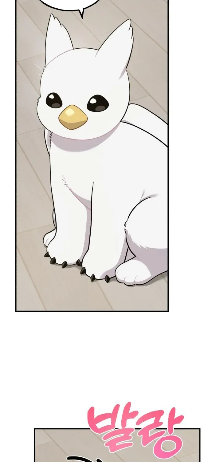 Hello, Fluffy Griffin! Chapter 13 page 54 - 