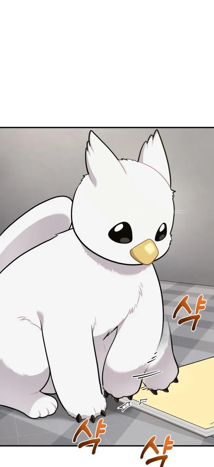Hello, Fluffy Griffin! Chapter 15 page 64 - 