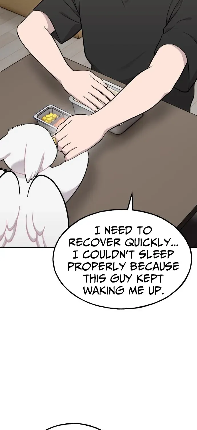 Hello, Fluffy Griffin! Chapter 16 page 12 - 