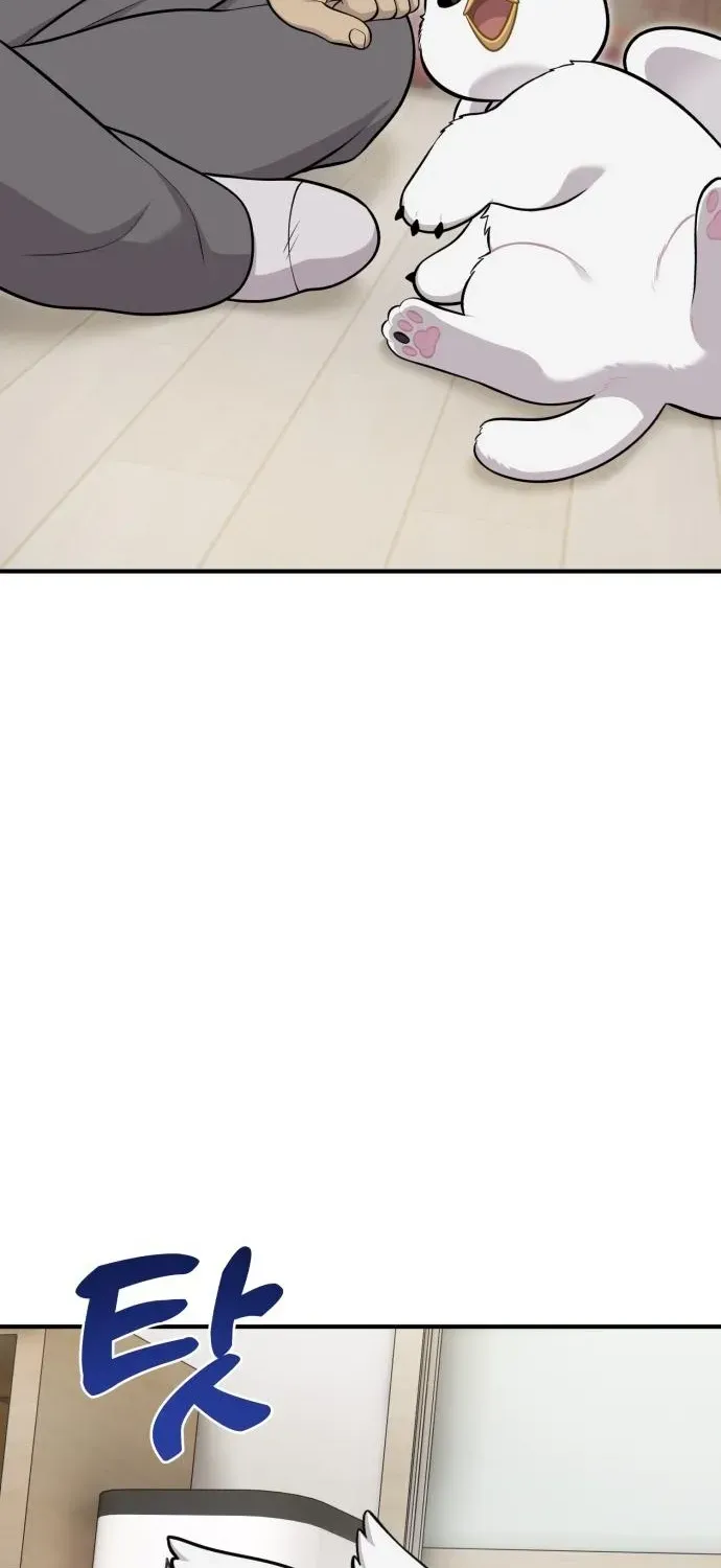 Hello, Fluffy Griffin! Chapter 16 page 32 - 