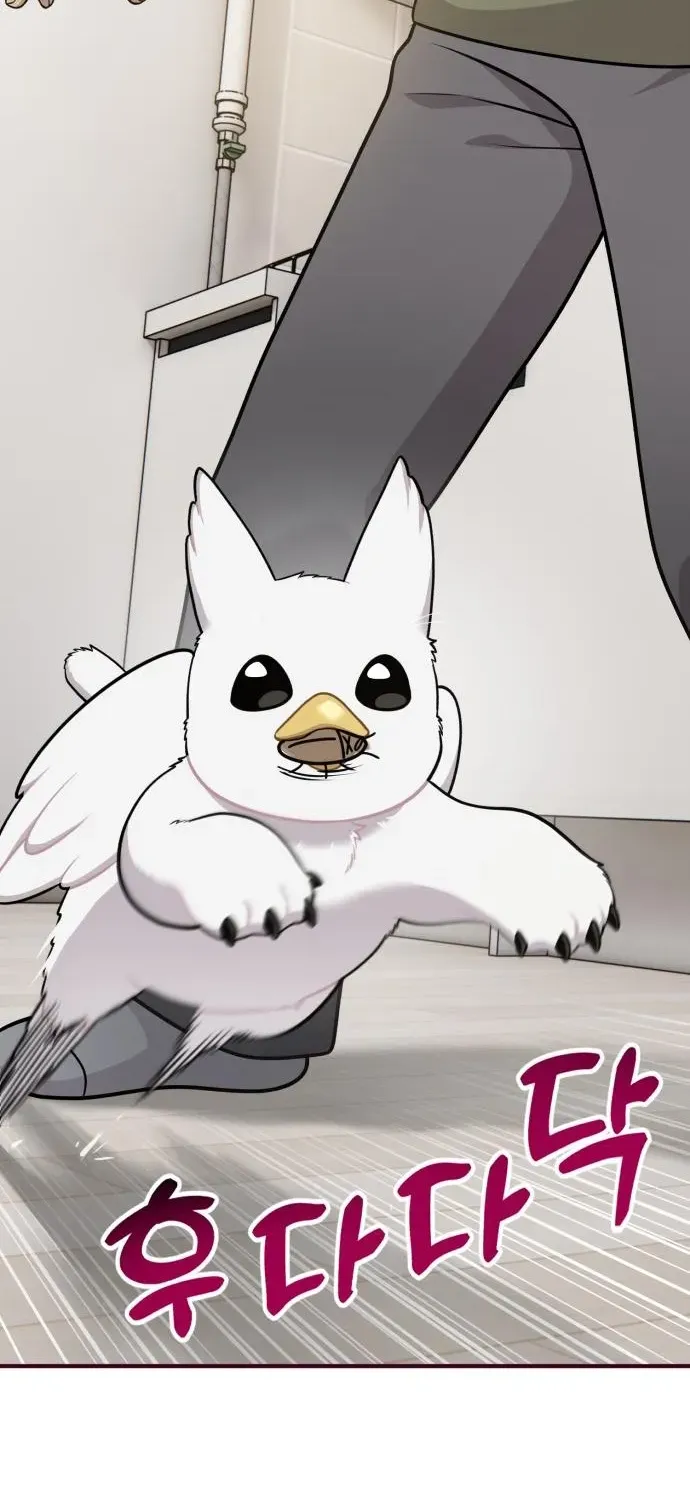 Hello, Fluffy Griffin! Chapter 16 page 58 - 
