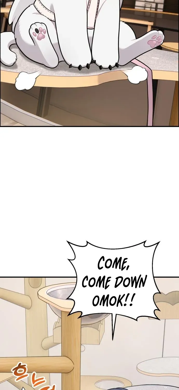 Hello, Fluffy Griffin! Chapter 18 page 47 - 