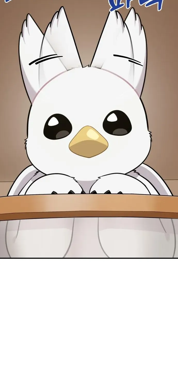 Hello, Fluffy Griffin! Chapter 18 page 67 - 