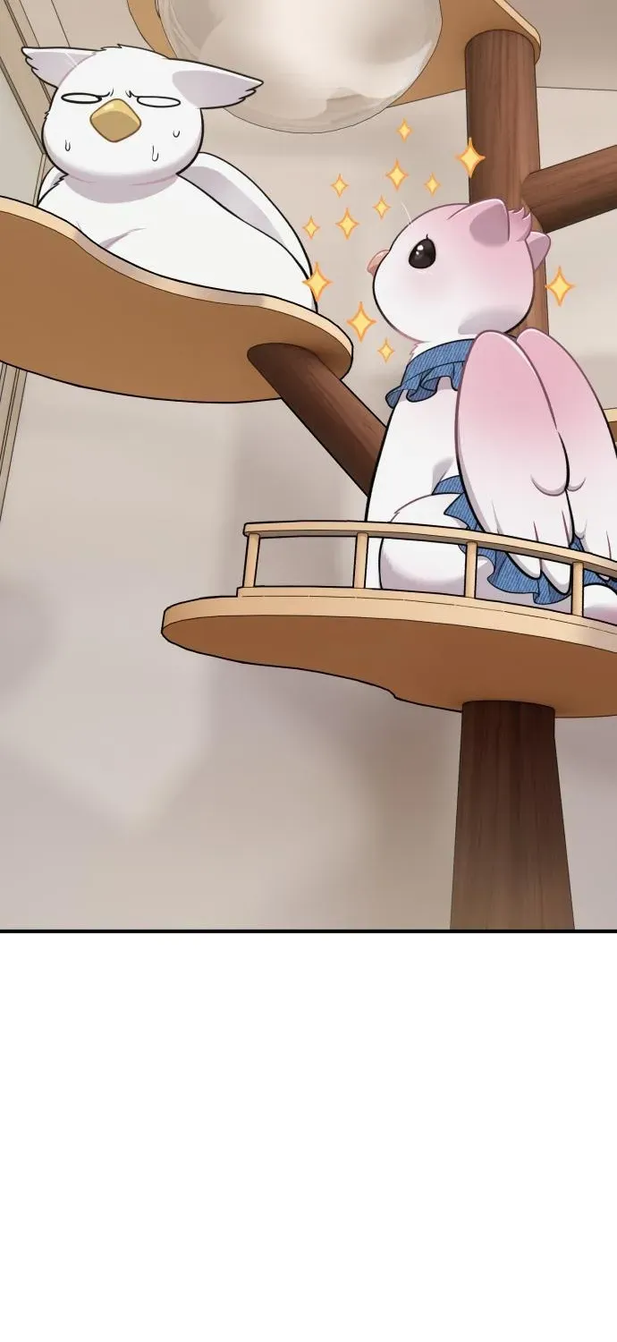 Hello, Fluffy Griffin! Chapter 18 page 78 - 