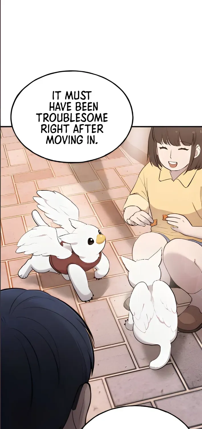 Hello, Fluffy Griffin! Chapter 2 page 12 - 