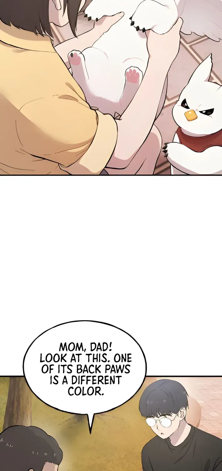 Hello, Fluffy Griffin! Chapter 2 page 22 - 