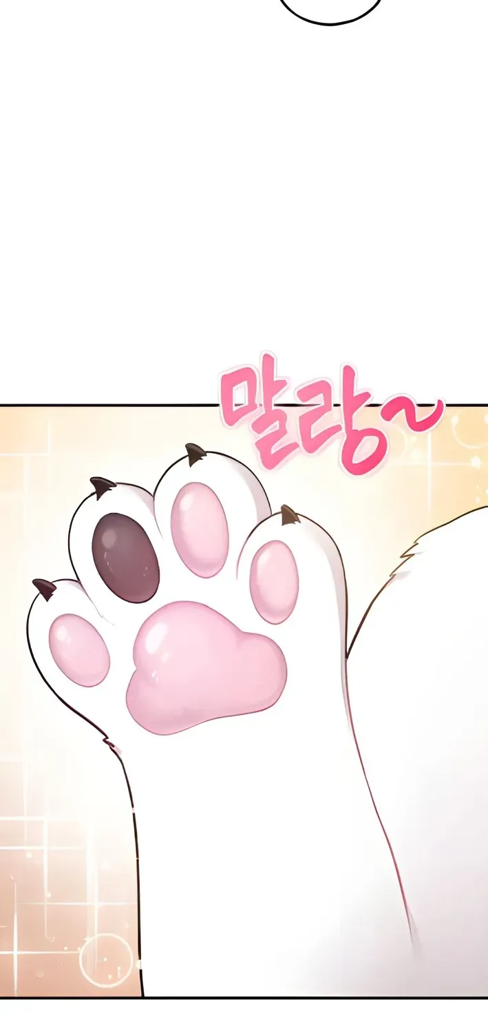 Hello, Fluffy Griffin! Chapter 2 page 25 - 