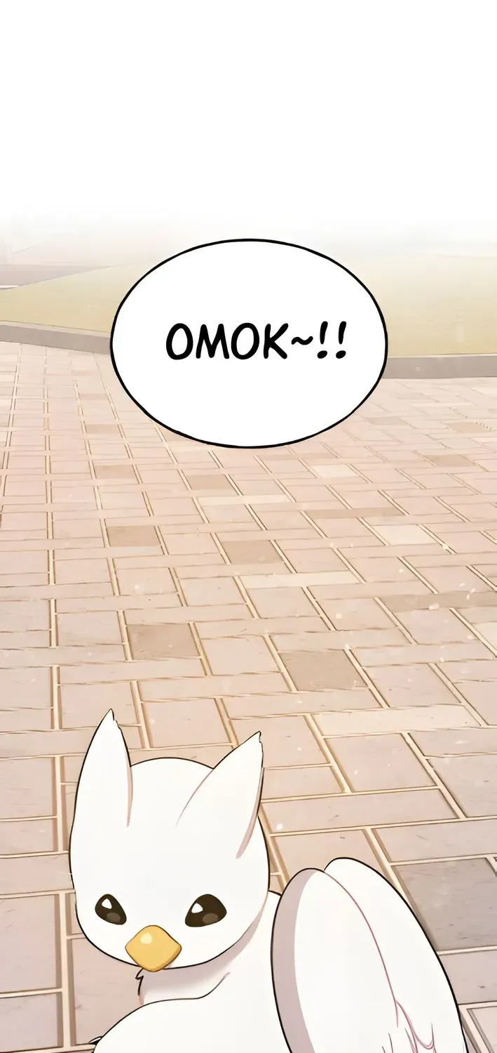Hello, Fluffy Griffin! Chapter 2 page 34 - 