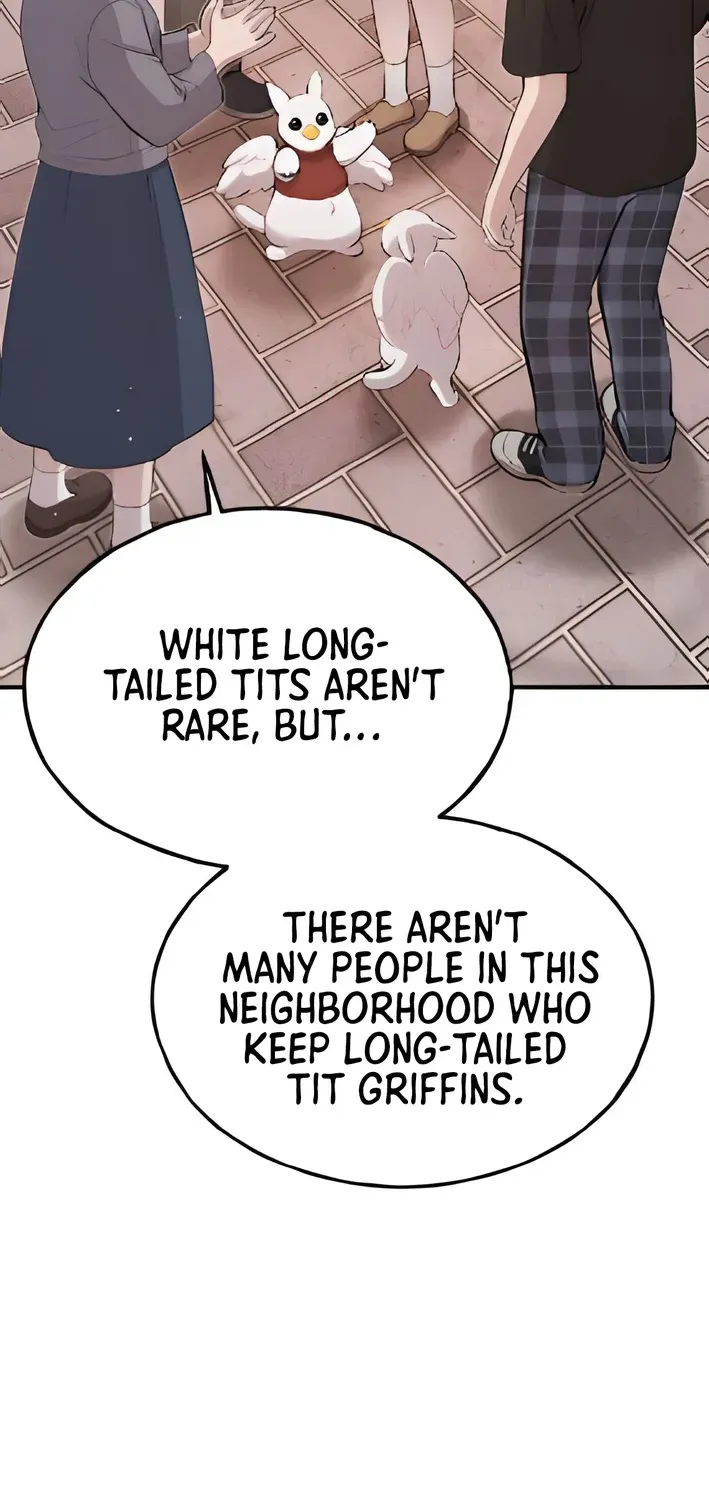 Hello, Fluffy Griffin! Chapter 2 page 5 - 