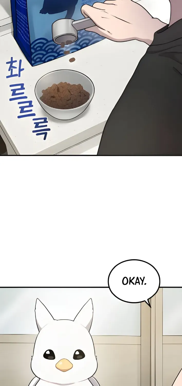 Hello, Fluffy Griffin! Chapter 2 page 53 - 