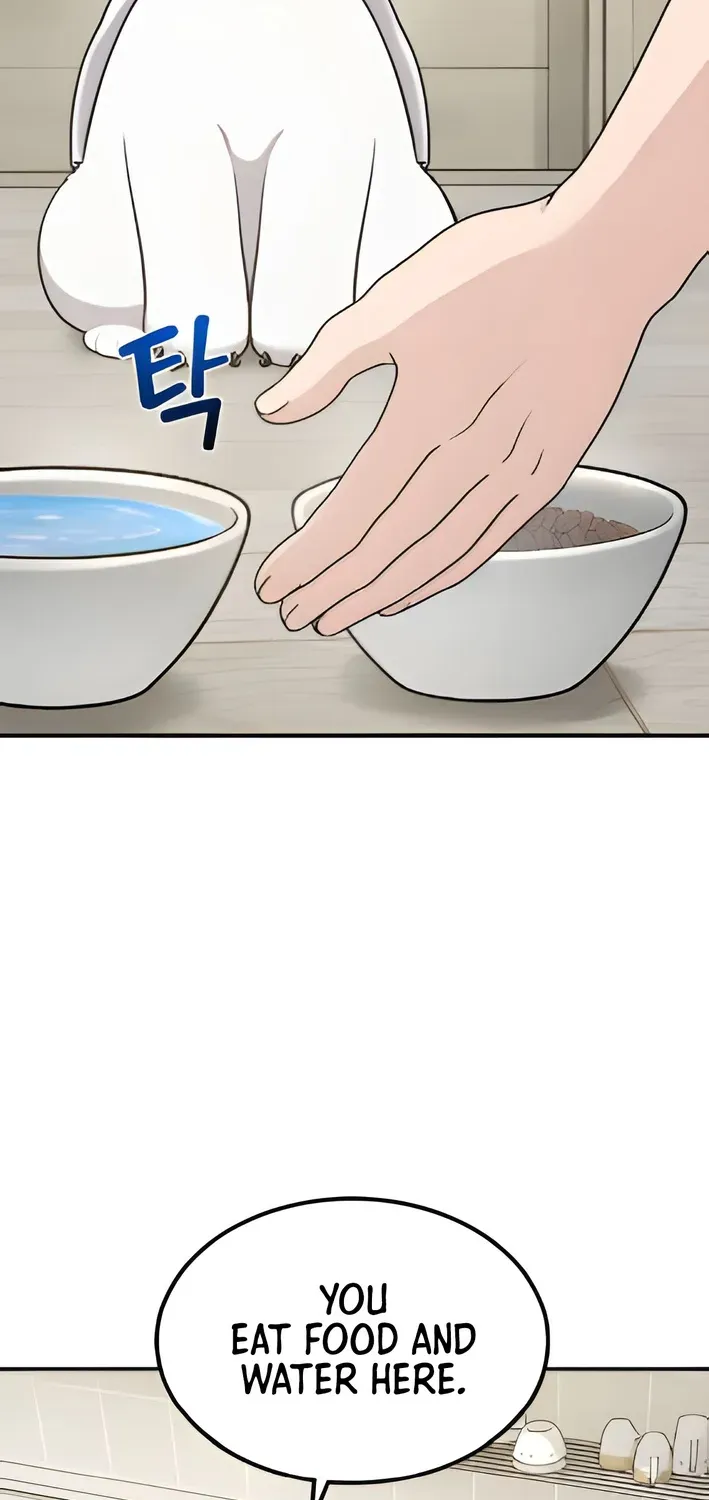 Hello, Fluffy Griffin! Chapter 2 page 54 - 
