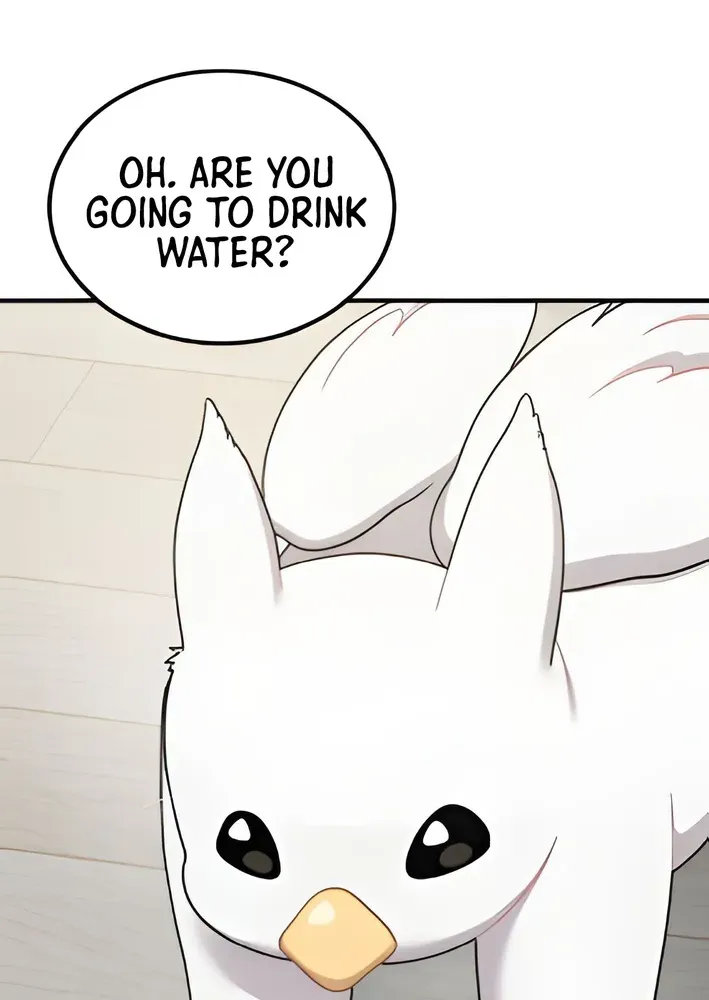 Hello, Fluffy Griffin! Chapter 2 page 56 - 